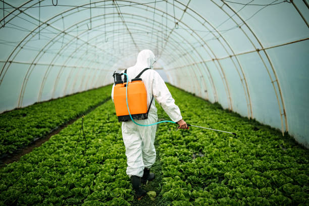 Best Best Pest Control Companies  in Sutter, CA