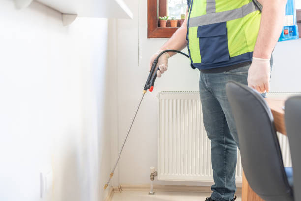 Best Local Pest Control Services  in Sutter, CA