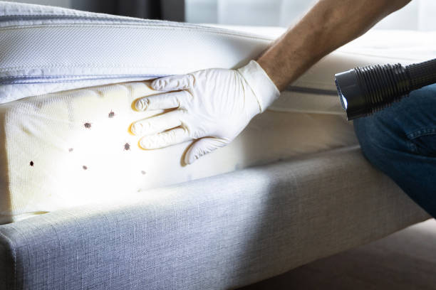 Pest Control for Restaurants in Sutter, CA