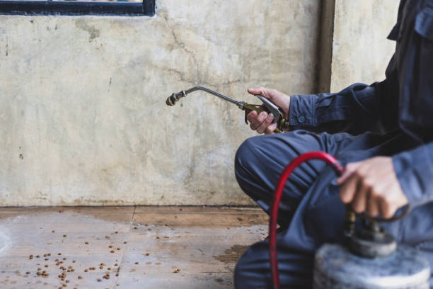 Best Pest Removal Services  in Sutter, CA